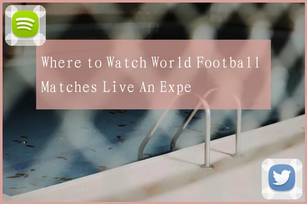 Where to Watch World Football Matches Live An Expe